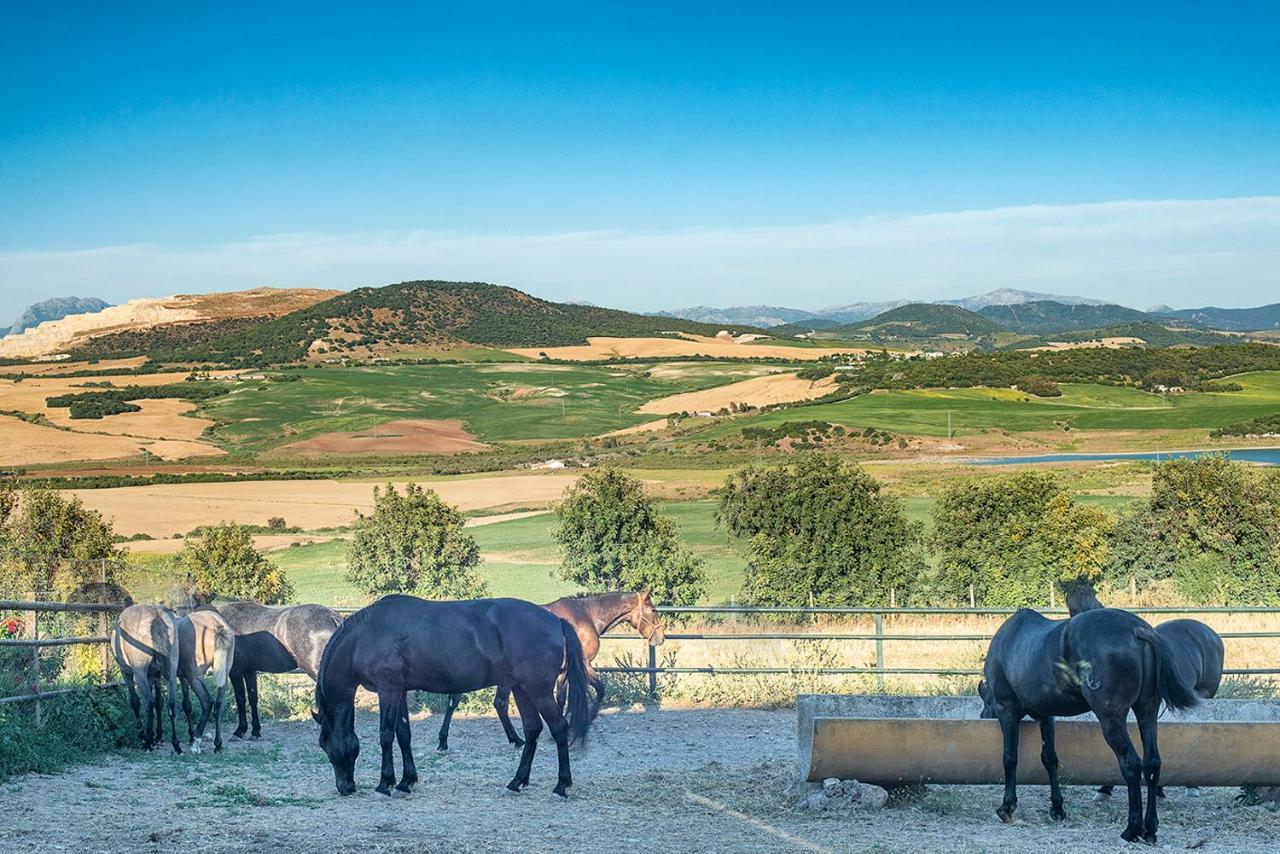 Alterhome Private Villa Cortijo Sierra Y Lago Arcos de la Frontera Zewnętrze zdjęcie