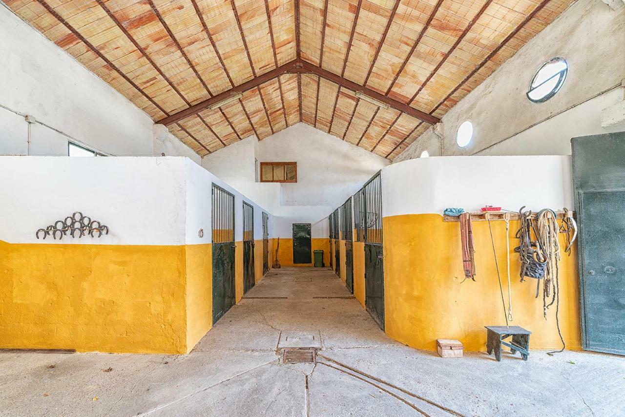 Alterhome Private Villa Cortijo Sierra Y Lago Arcos de la Frontera Zewnętrze zdjęcie