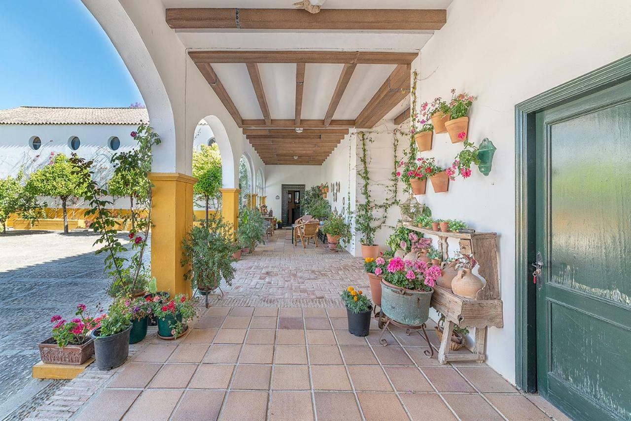 Alterhome Private Villa Cortijo Sierra Y Lago Arcos de la Frontera Zewnętrze zdjęcie