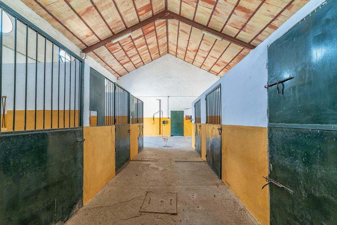 Alterhome Private Villa Cortijo Sierra Y Lago Arcos de la Frontera Zewnętrze zdjęcie