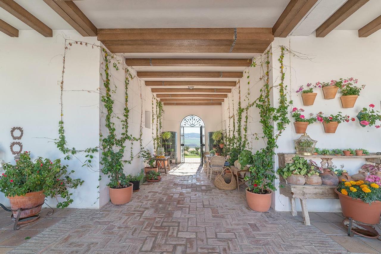 Alterhome Private Villa Cortijo Sierra Y Lago Arcos de la Frontera Zewnętrze zdjęcie