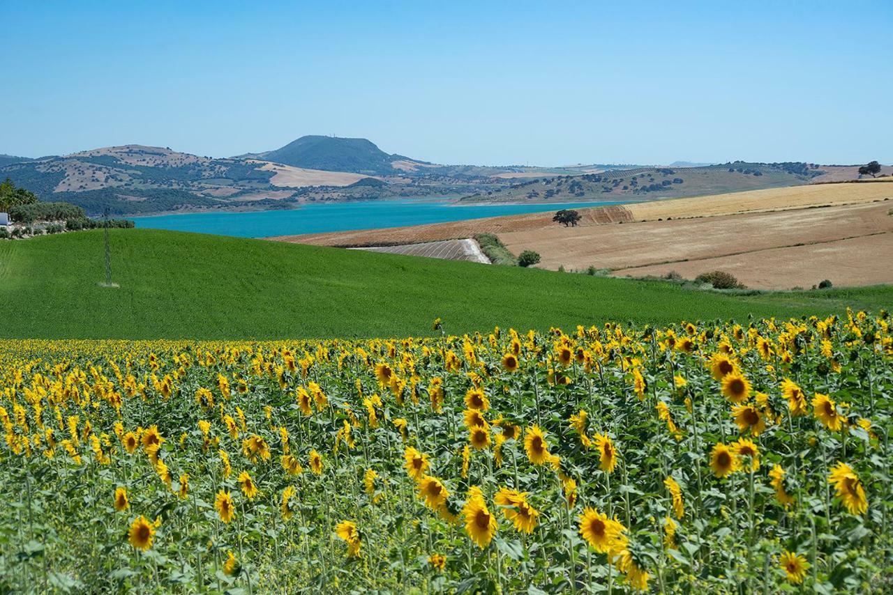Alterhome Private Villa Cortijo Sierra Y Lago Arcos de la Frontera Zewnętrze zdjęcie